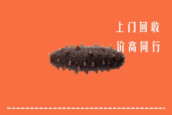 鹤岗回收海参